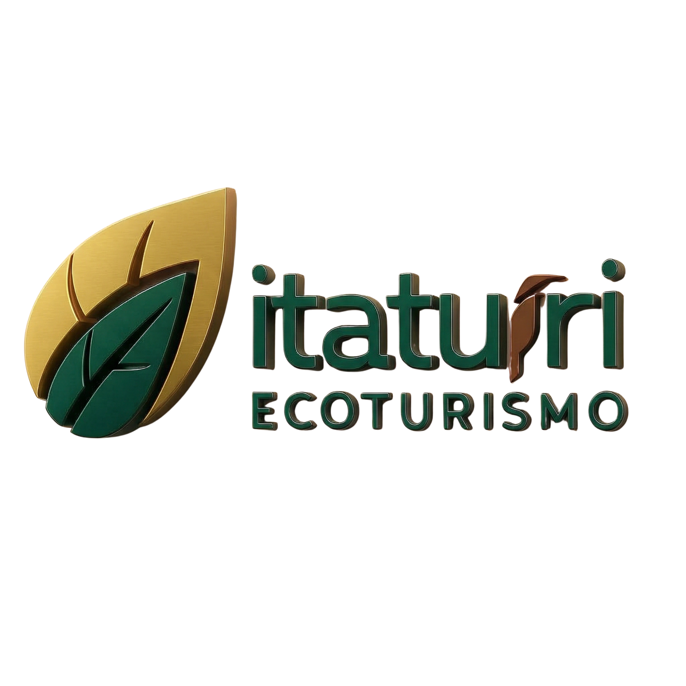 Logo Flutuação Rio Triste