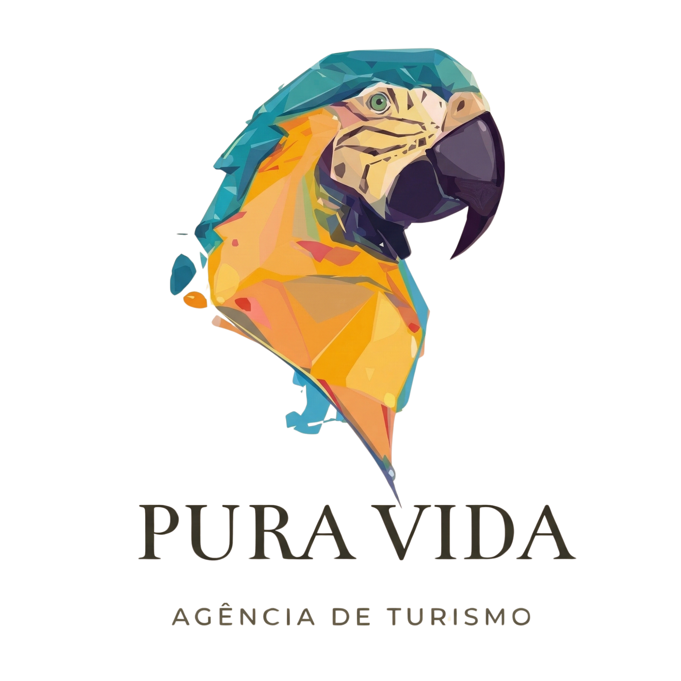 Logo Flutuação Rio Triste