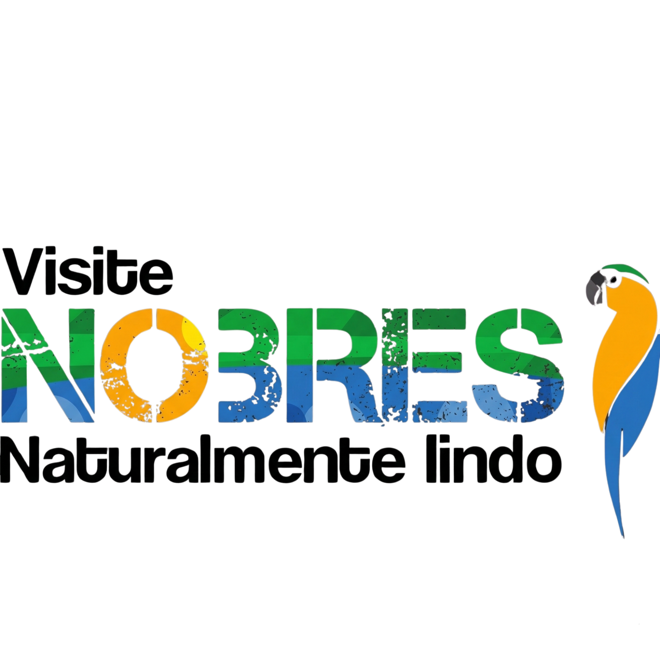 Logo Flutuação Rio Triste