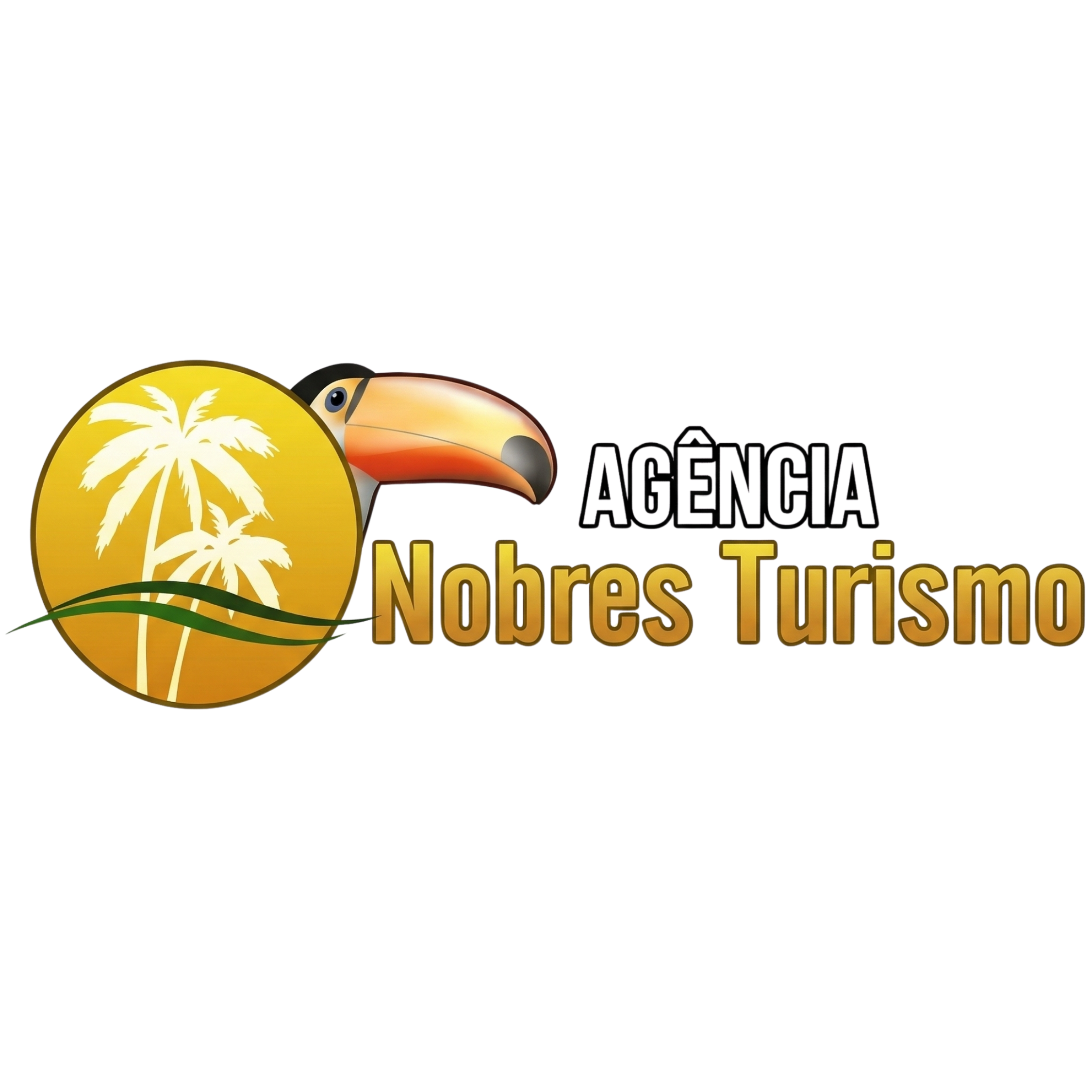 Logo Flutuação Rio Triste