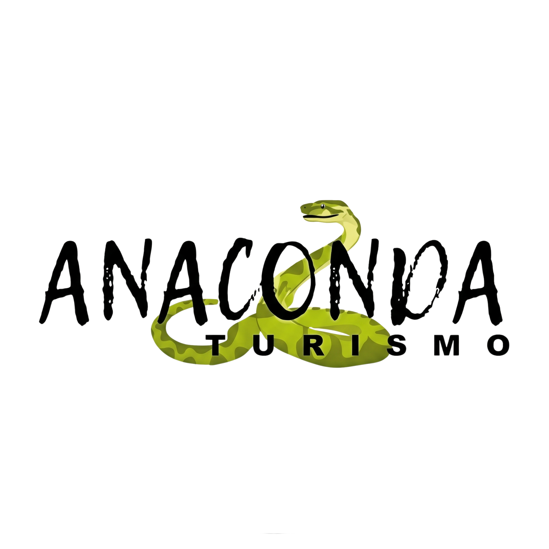 Logo Flutuação Rio Triste
