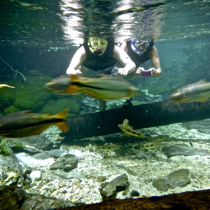 Pessoas praticando flutuação no Rio Triste.